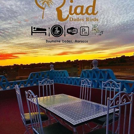 Boumalne Riad Dades Birds מראה חיצוני תמונה