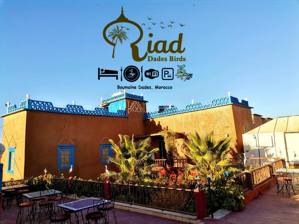 Boumalne Riad Dades Birds מראה חיצוני תמונה