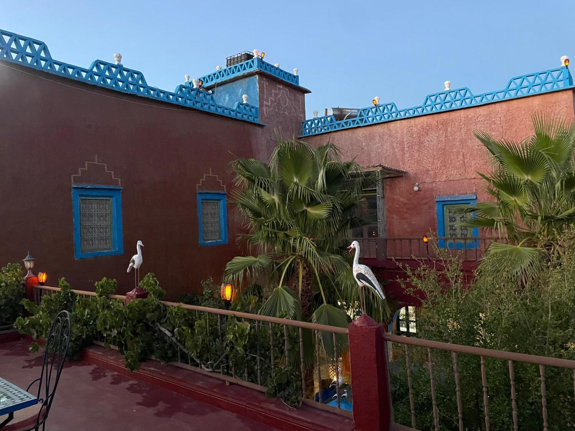 Boumalne Riad Dades Birds מראה חיצוני תמונה