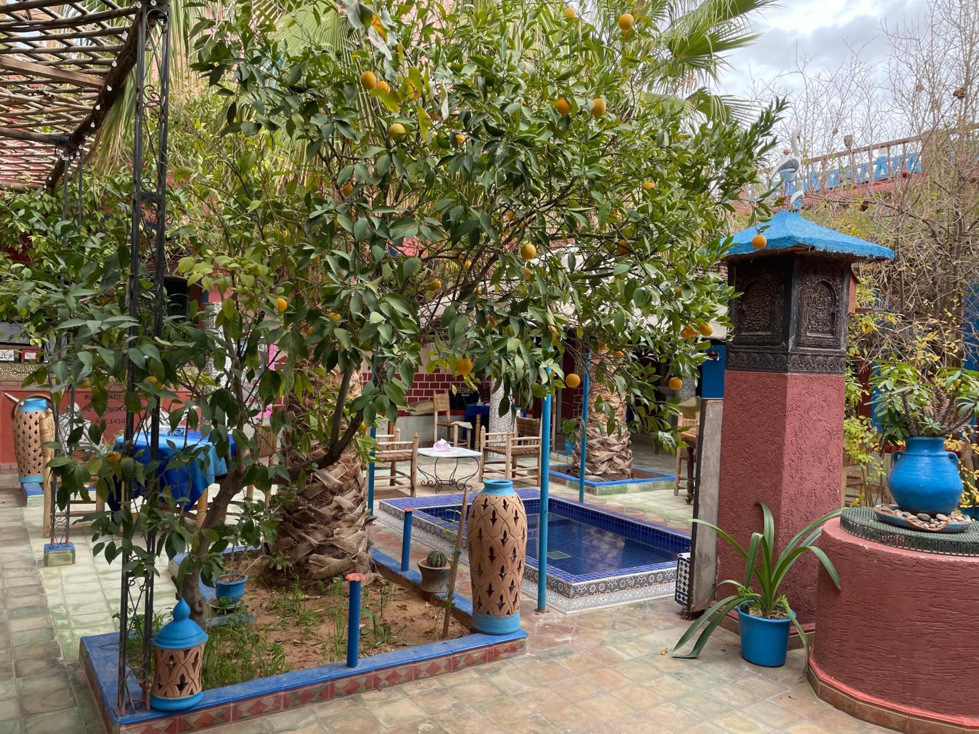 Boumalne Riad Dades Birds מראה חיצוני תמונה